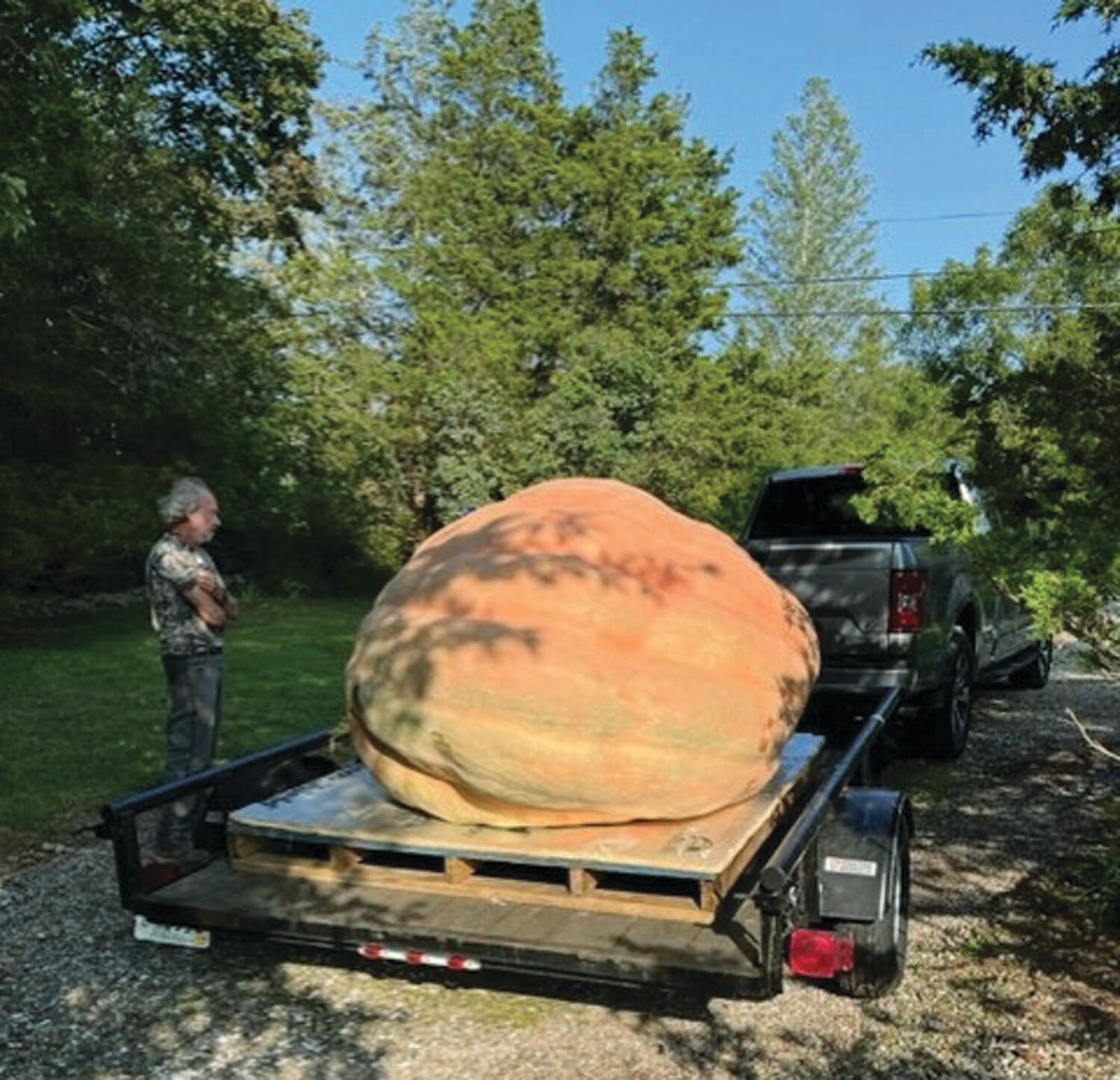 LA ULTIMA PEPO: Steve Sperry has one more monster to harvest. “The big one, I hope,” he said earlier this week. The final harvest and weigh-in is planned for this weekend. Only then will he know where his giant pumpkin growing skills rank in the world.